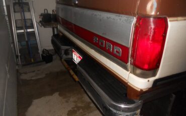 Ford-F-250-1988-brown-205996-4