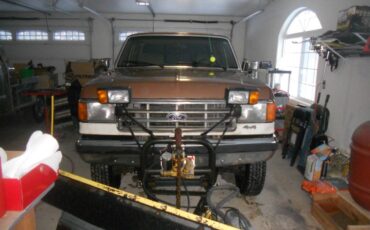 Ford-F-250-1988-brown-205996-5