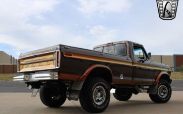 Ford-F-250-Pickup-1975-Brown-Gold-76838-6