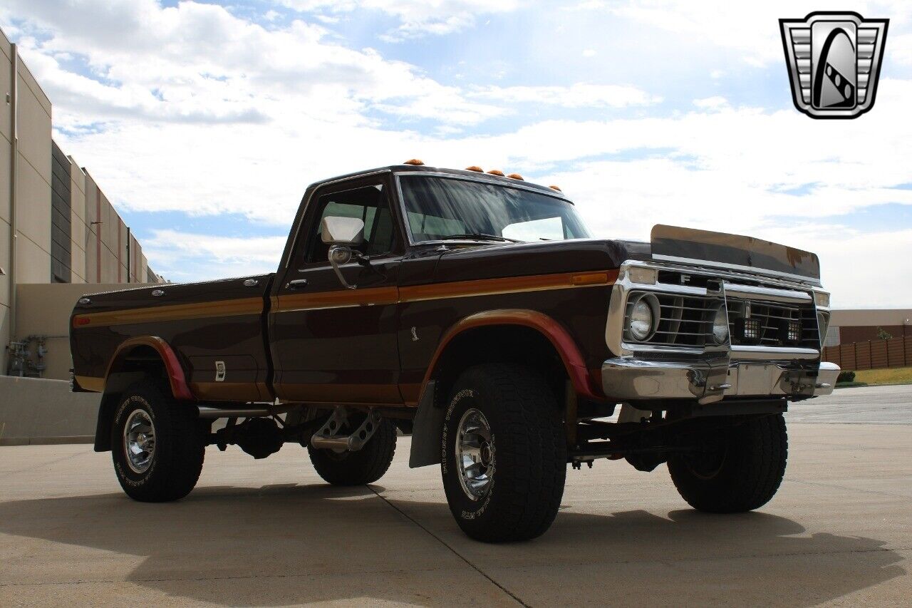 Ford-F-250-Pickup-1975-Brown-Gold-76838-8