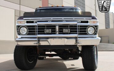 Ford-F-250-Pickup-1975-Brown-Gold-76838-9