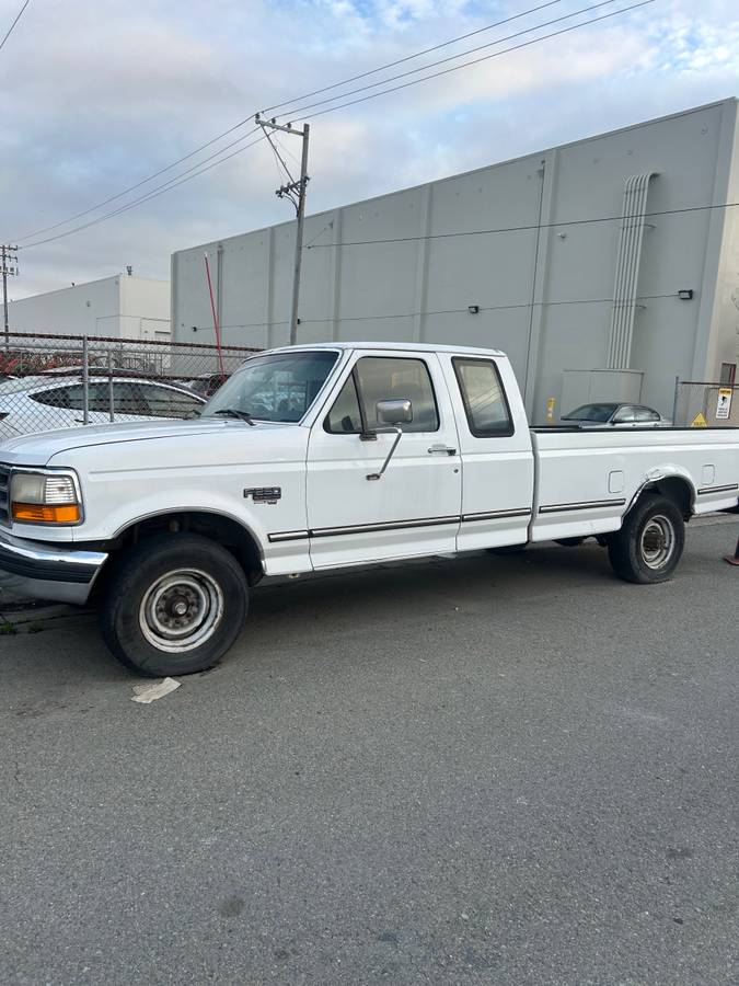 Ford-F-250-diesel-1994-white-434522-12