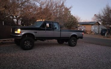 Ford-F-250-diesel-1995-399116-1