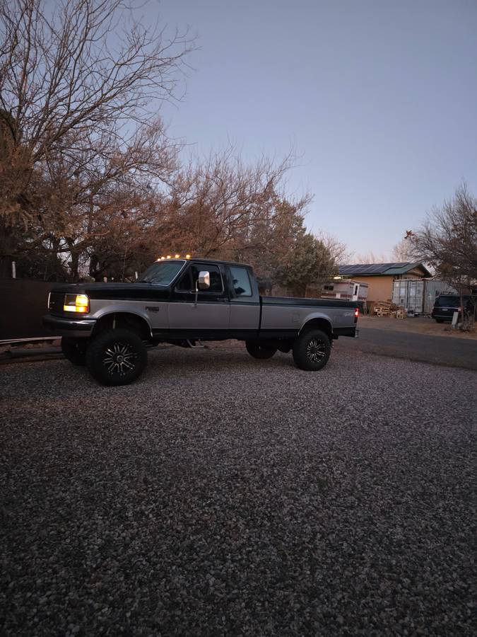 Ford-F-250-diesel-1995-399116-1