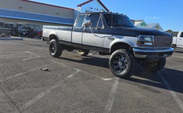 Ford-F-250-diesel-1995-399116-3