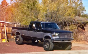 Ford-F-250-diesel-1995-399116