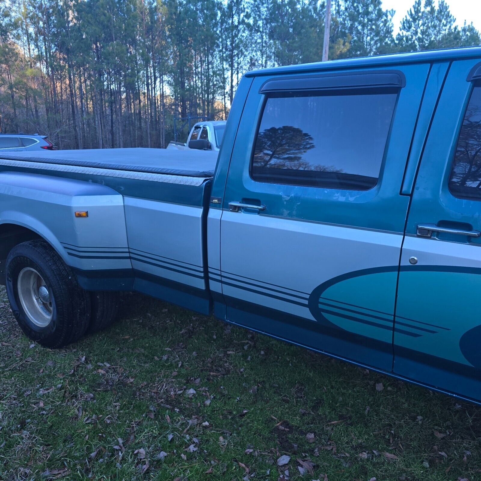 Ford-F-350-Pickup-1994-Blue-Blue-226918-2