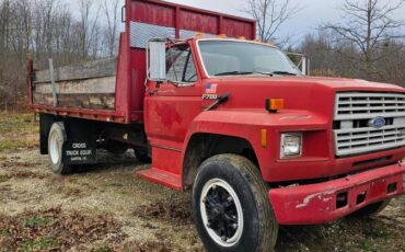 Ford-F-700-1991-red-196339