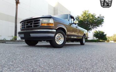 Ford-F-Series-1993-Light-and-Dark-Mocha-Tan-206210-10