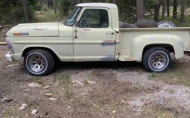 Ford-F100-pickup-1969-198683-4