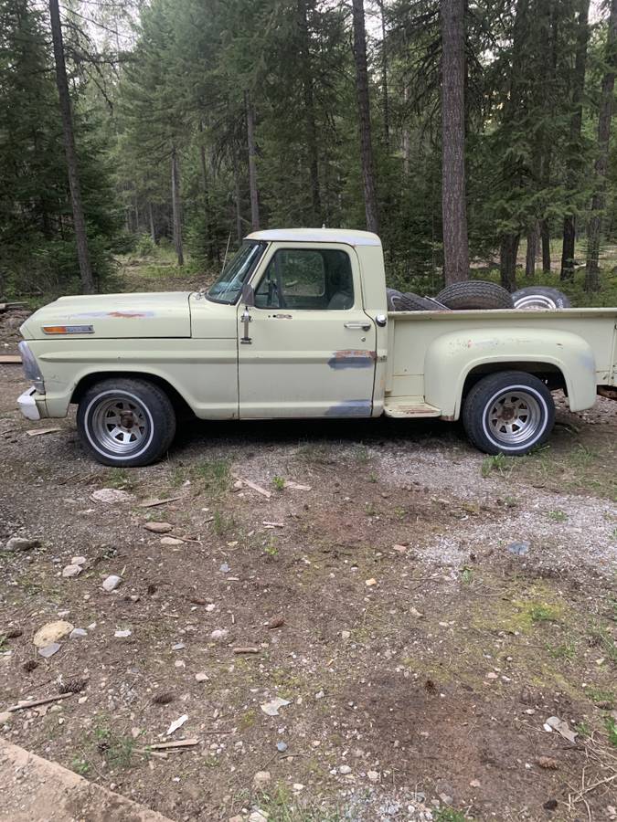 Ford-F100-pickup-1969-198683-4