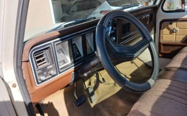 Ford-F150-1978-138403-4