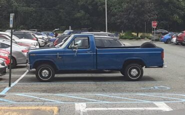 Ford-F150-1985-blue-112654-14