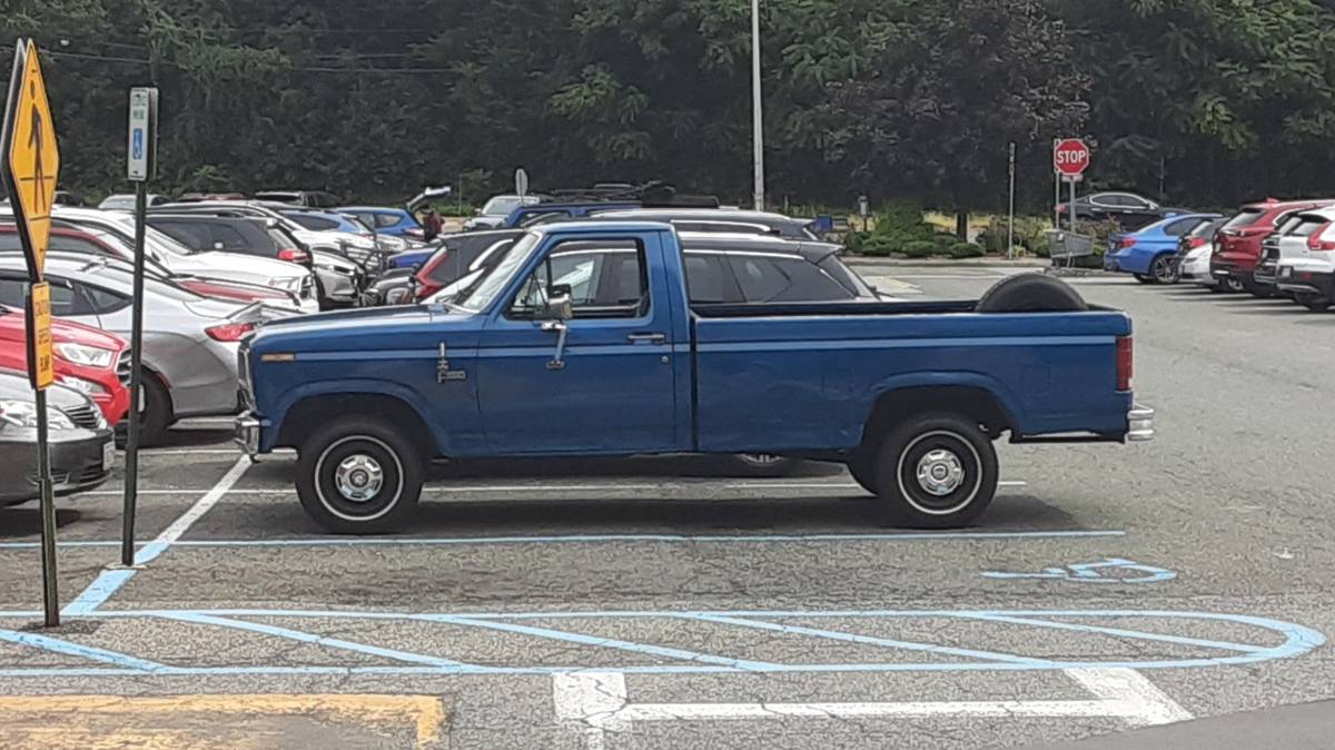 Ford-F150-1985-blue-112654-14