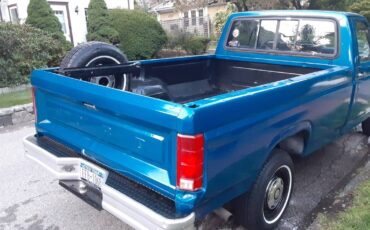 Ford-F150-1985-blue-112654-5