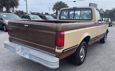 Ford-F150-1987-brown-175880-1