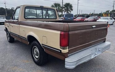 Ford-F150-1987-brown-175880-2