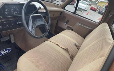 Ford-F150-1987-brown-175880-3