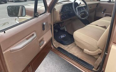 Ford-F150-1987-brown-175880-5