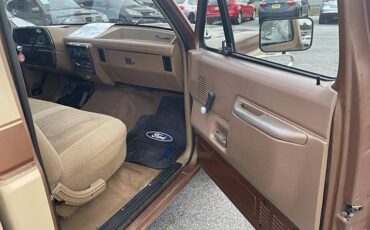 Ford-F150-1987-brown-175880-6