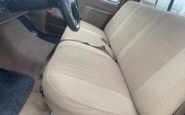 Ford-F150-1987-brown-175880-8