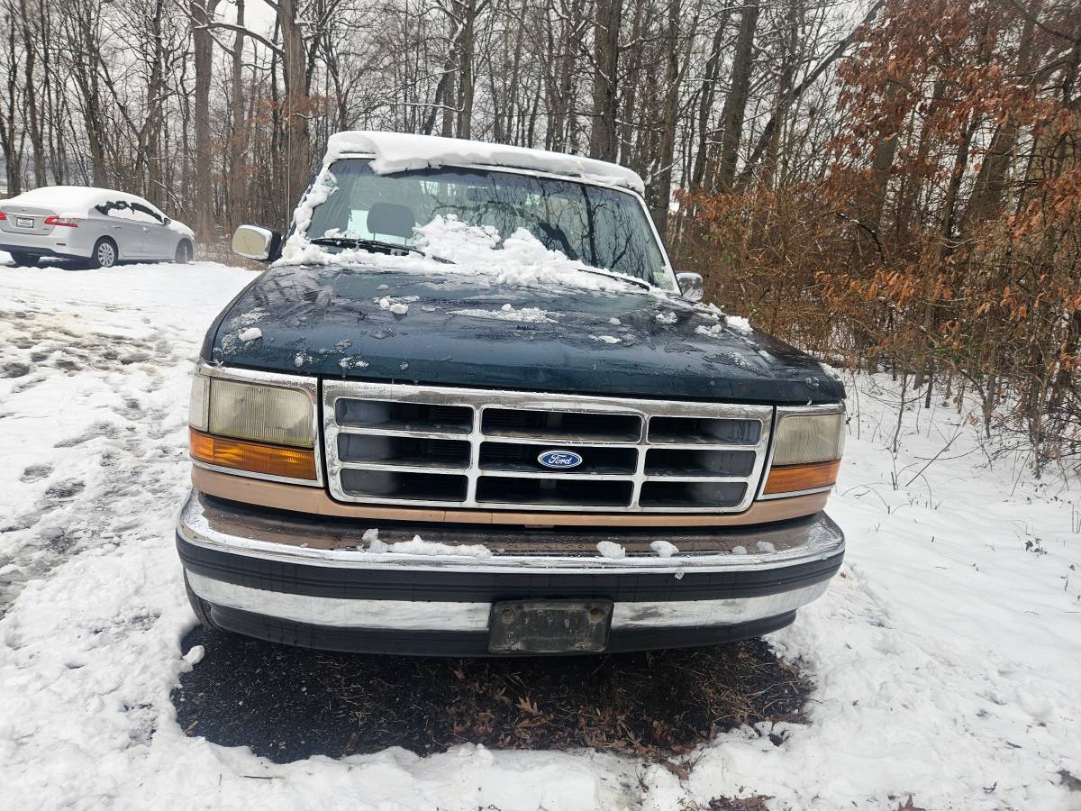 Ford-F150-1994-284853-3