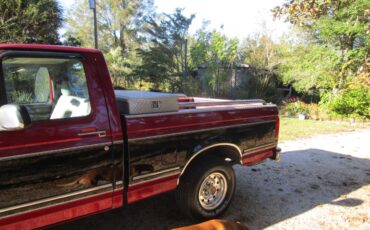 Ford-F150-1994-custom-550394-5