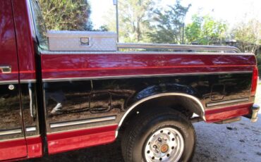 Ford-F150-1994-custom-550394-6