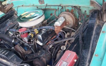 Ford-F250-1965-green-40008-19