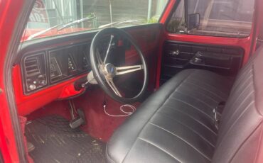 Ford-F250-1975-red-160934-8