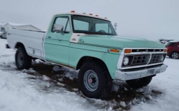 Ford-F250-4x4-1977-green-173809