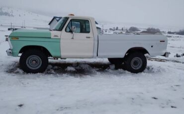 Ford-F250-4x4-1977-green-173809-4