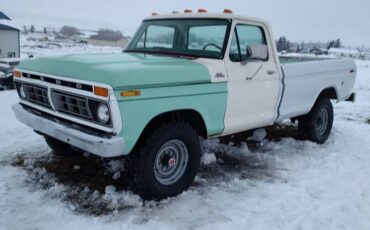 Ford-F250-4x4-1977-green-173809-7