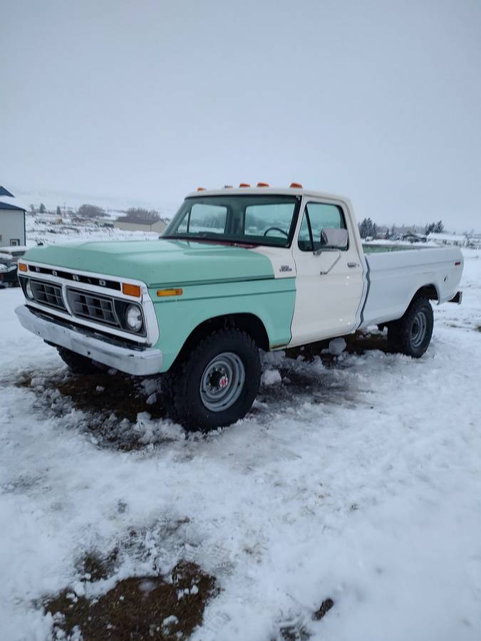 Ford-F250-4x4-1977-green-173809-7