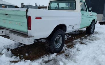 Ford-F250-4x4-1977-green-173809-8