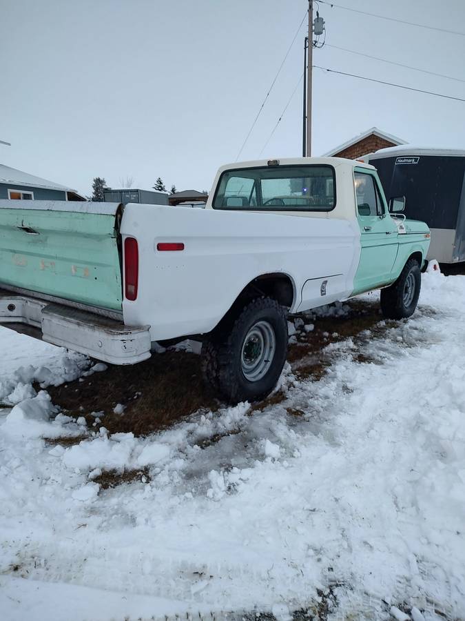 Ford-F250-4x4-1977-green-173809-8