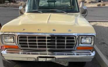 Ford-F350-1978-brown-185074-1