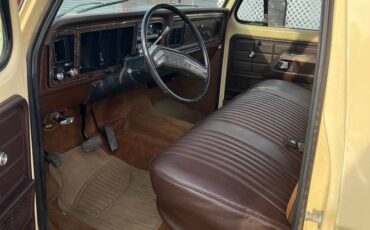 Ford-F350-1978-brown-185074-10