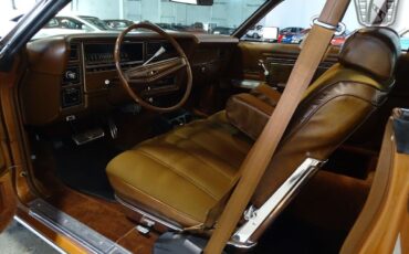 Ford-LTD-1974-Brown-Brown-92703-11