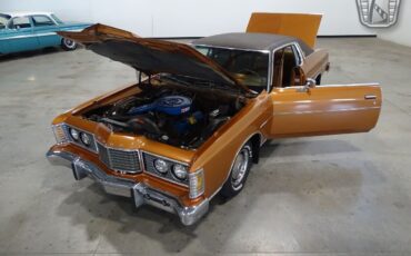 Ford-LTD-1974-Brown-Brown-92703-9