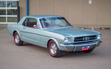 Ford-Mustang-1965-Gray-81874-5