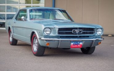 Ford-Mustang-1965-Gray-81874-9