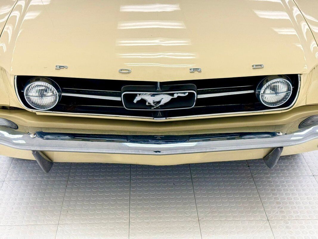 Ford-Mustang-1965-Yellow-Black-127227-8