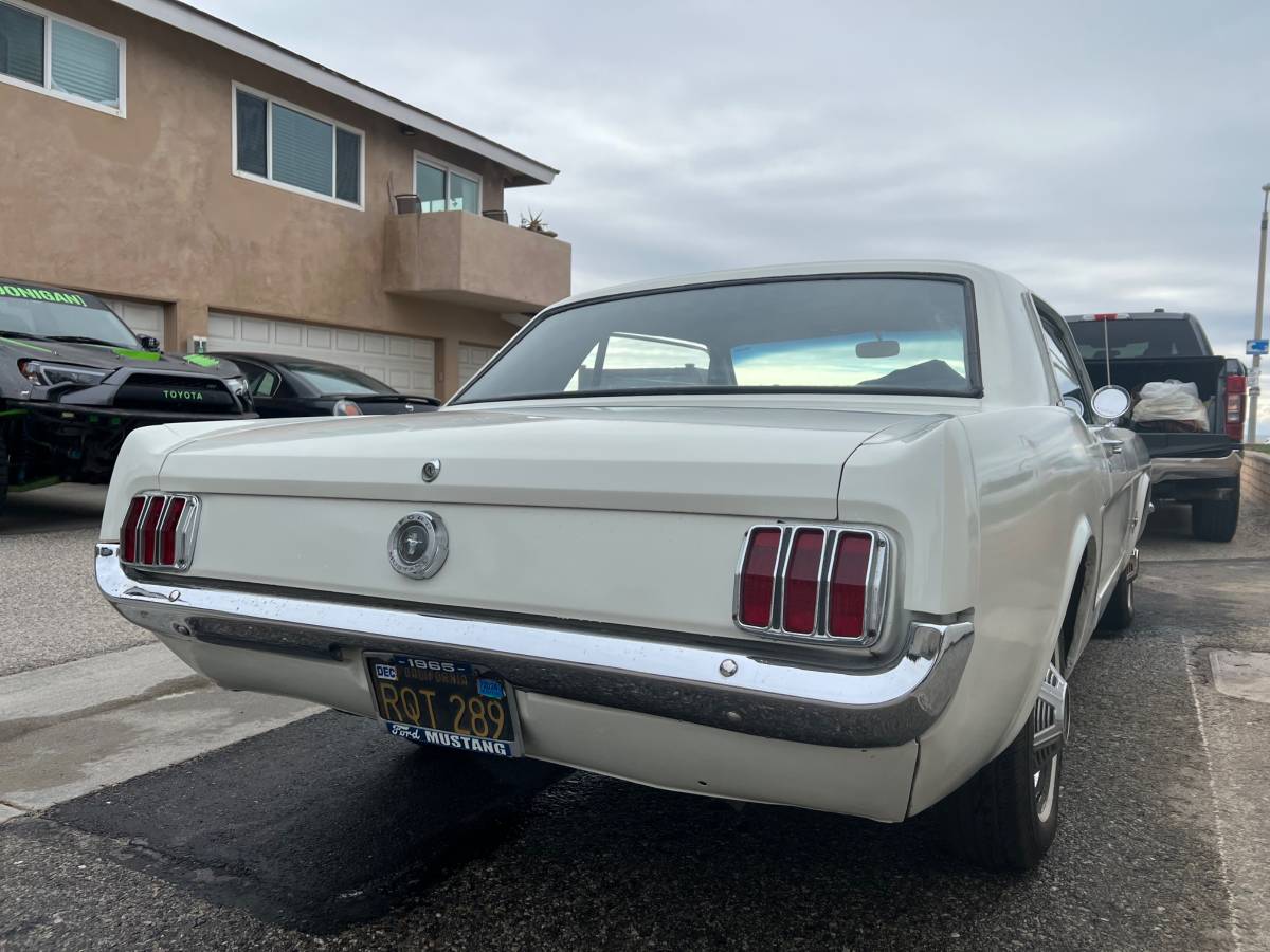 Ford-Mustang-1965-white-120057-5