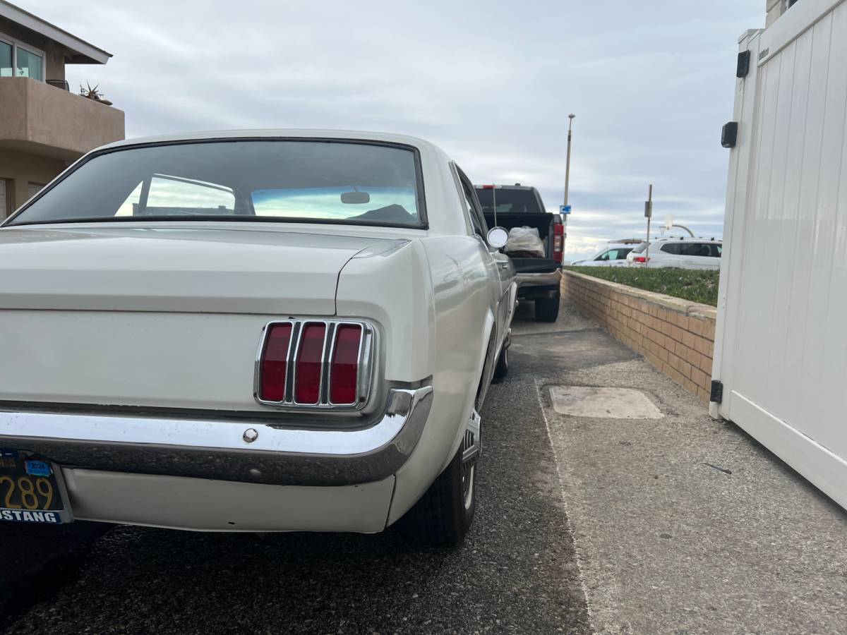 Ford-Mustang-1965-white-120057-6