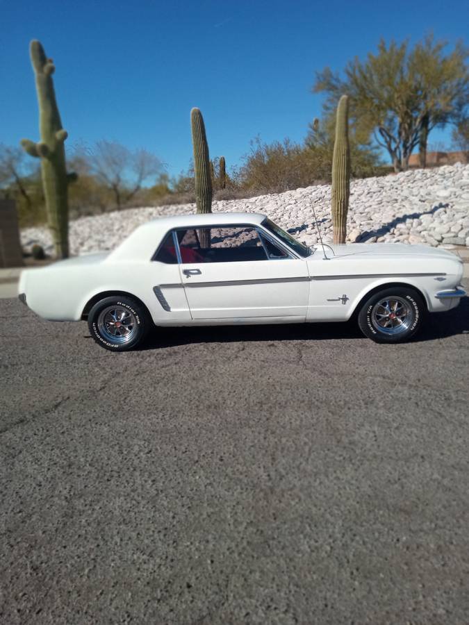 Ford-Mustang-1965-white-151278-1