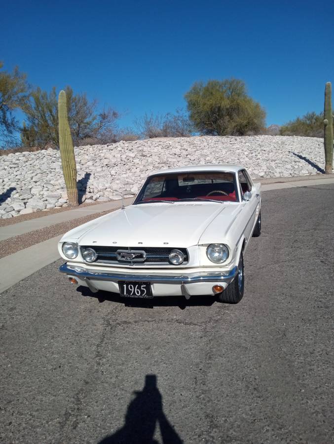 Ford-Mustang-1965-white-151278-2