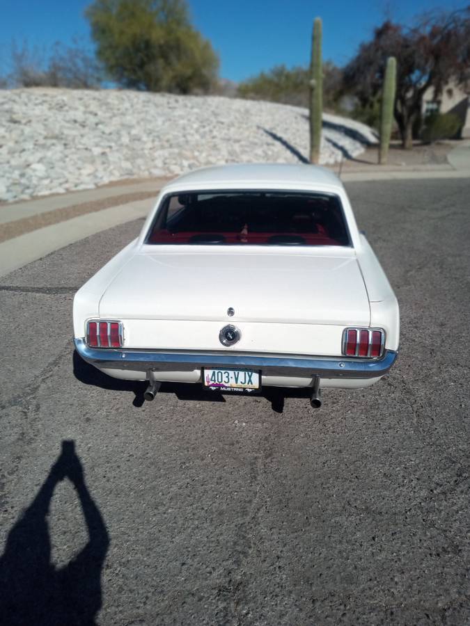 Ford-Mustang-1965-white-151278-3