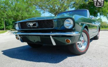 Ford-Mustang-1966-Green-Black-114572-10