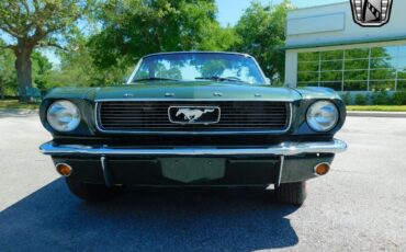 Ford-Mustang-1966-Green-Black-114572-11